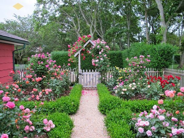Thiết kế sân vườn nhỏ trước nhà cấp 4 bằng hoa cảnh là một ý tưởng tuyệt vời